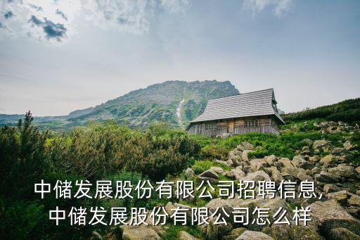  中儲發(fā)展股份有限公司招聘信息, 中儲發(fā)展股份有限公司怎么樣