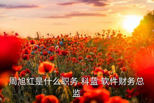 周旭紅是什么職務(wù) 科藍(lán) 軟件財(cái)務(wù)總監(jiān)