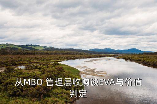 從MBO 管理層收購談EVA與價值判定