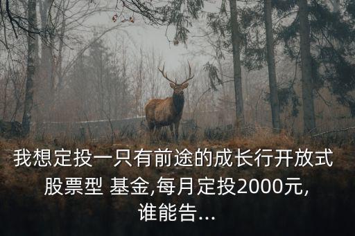 我想定投一只有前途的成長行開放式 股票型 基金,每月定投2000元,誰能告...