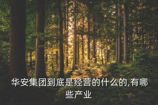  華安集團(tuán)到底是經(jīng)營(yíng)的什么的,有哪些產(chǎn)業(yè)