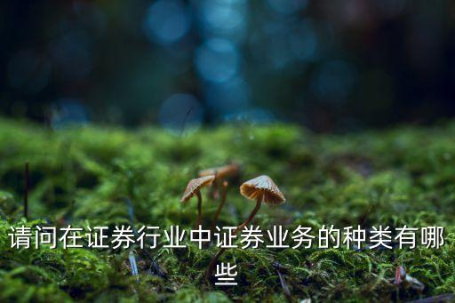 請(qǐng)問在證券行業(yè)中證券業(yè)務(wù)的種類有哪些