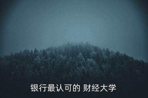 銀行最認(rèn)可的 財(cái)經(jīng)大學(xué)