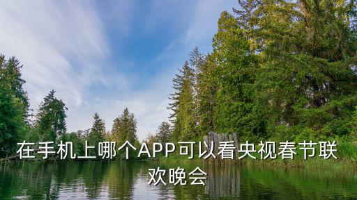 在手機上哪個APP可以看央視春節(jié)聯(lián)歡晚會