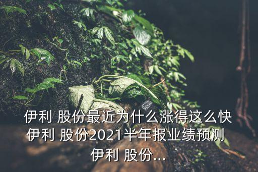  伊利 股份最近為什么漲得這么快 伊利 股份2021半年報(bào)業(yè)績預(yù)測 伊利 股份...