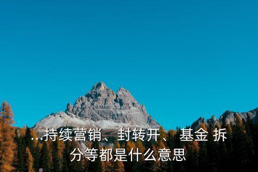 ...持續(xù)營(yíng)銷(xiāo)、封轉(zhuǎn)開(kāi)、 基金 拆分等都是什么意思