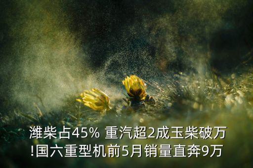  濰柴占45% 重汽超2成玉柴破萬(wàn)!國(guó)六重型機(jī)前5月銷量直奔9萬(wàn)