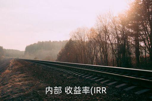 內(nèi)部 收益率(IRR