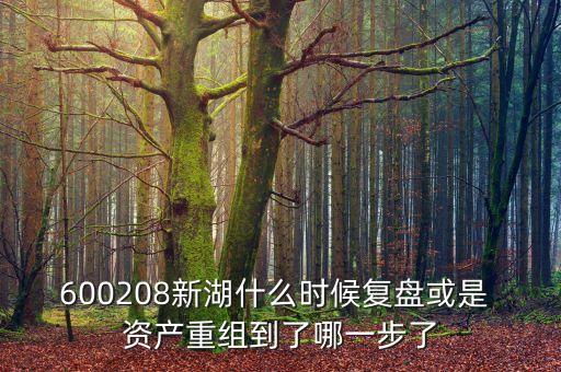 600208新湖什么時(shí)候復(fù)盤(pán)或是 資產(chǎn)重組到了哪一步了