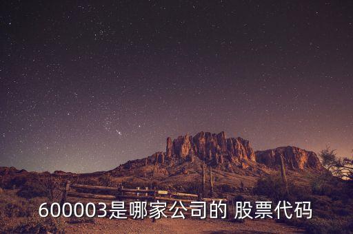 600003是哪家公司的 股票代碼