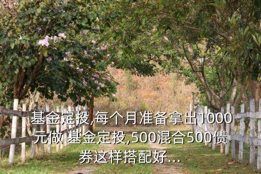  基金定投,每個月準備拿出1000元做 基金定投,500混合500債券這樣搭配好...