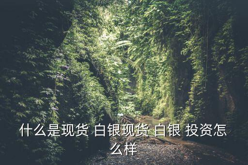 什么是現貨 白銀現貨 白銀 投資怎么樣