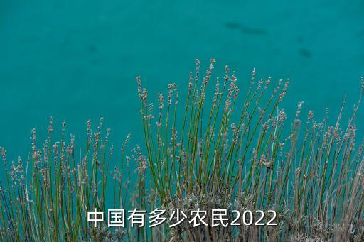 中國(guó)有多少農(nóng)民2022