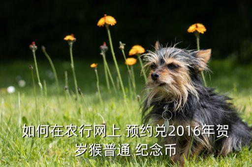 如何在農行網上 預約兌2016年賀歲猴普通 紀念幣