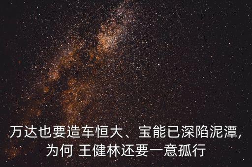 王健林投資的公司,萬(wàn)王健林出最近投資