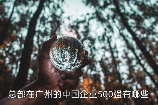 總部在廣州的中國企業(yè)500強有哪些