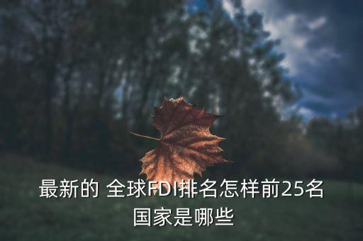 最新的 全球FDI排名怎樣前25名 國家是哪些