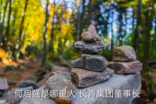 何啟強(qiáng)是哪里人 長(zhǎng)青集團(tuán)董事長(zhǎng)