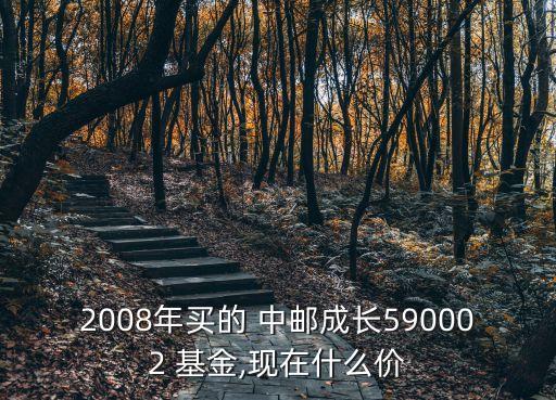 2008年買的 中郵成長590002 基金,現在什么價