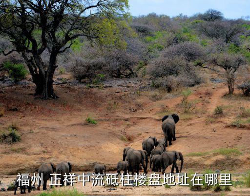 福州 正祥中流砥柱樓盤地址在哪里