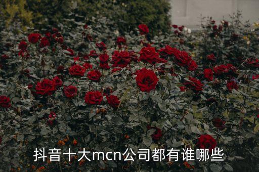 抖音十大mcn公司都有誰哪些