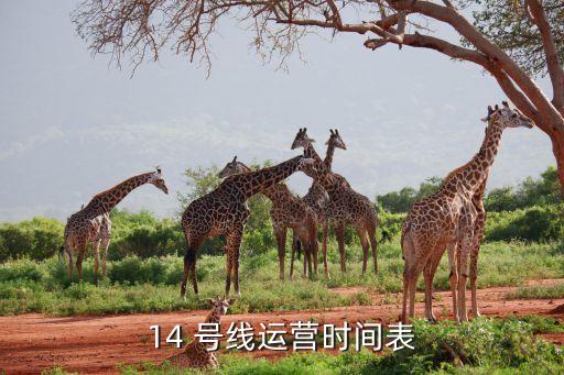 北京地鐵14號線東段什么時候開通