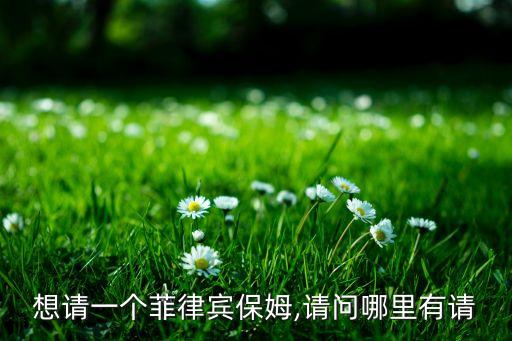 想請(qǐng)一個(gè)菲律賓保姆,請(qǐng)問哪里有請(qǐng)