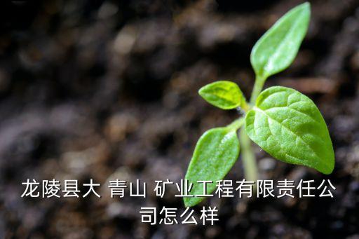 龍陵縣大 青山 礦業(yè)工程有限責(zé)任公司怎么樣