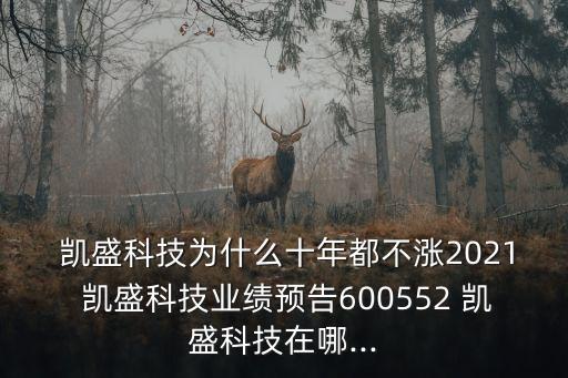  凱盛科技為什么十年都不漲2021 凱盛科技業(yè)績預(yù)告600552 凱盛科技在哪...