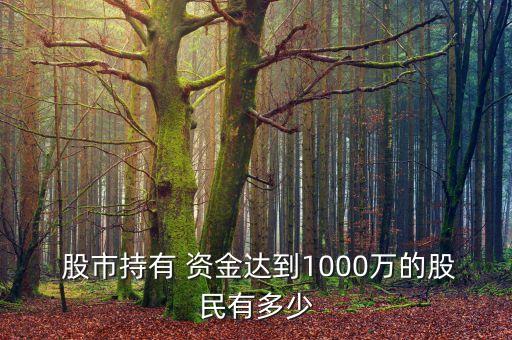  股市持有 資金達(dá)到1000萬的股民有多少