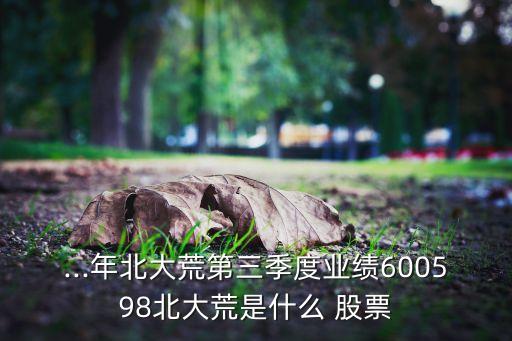 ...年北大荒第三季度業(yè)績(jī)600598北大荒是什么 股票