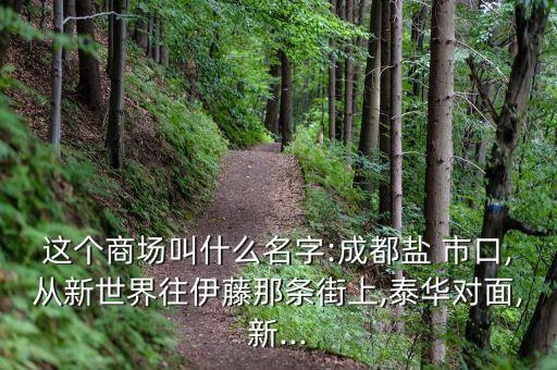 這個(gè)商場叫什么名字:成都鹽 市口,從新世界往伊藤那條街上,泰華對面,新...