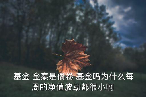  基金 金泰是債卷 基金嗎為什么每周的凈值波動(dòng)都很小啊