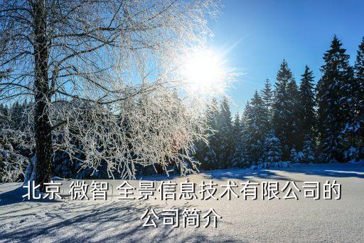 北京 微智 全景信息技術(shù)有限公司的公司簡(jiǎn)介