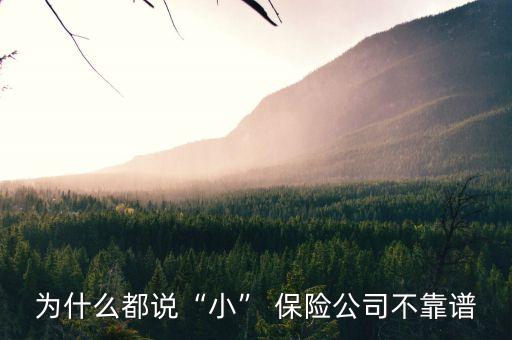 為什么都說“小” 保險公司不靠譜