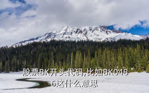  股票BK開(kāi)頭代碼,比如BK0486這什么意思