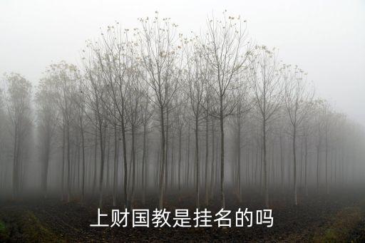 上財(cái)國教是掛名的嗎