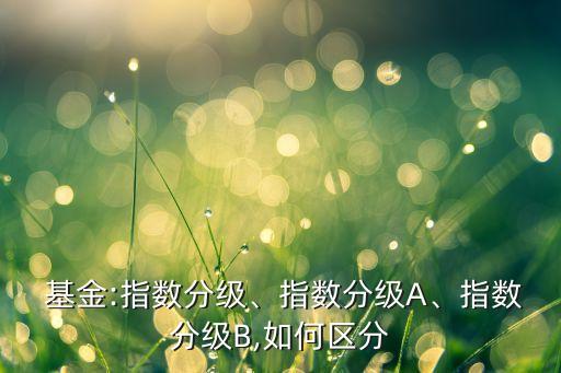  基金:指數(shù)分級(jí)、指數(shù)分級(jí)A、指數(shù)分級(jí)B,如何區(qū)分