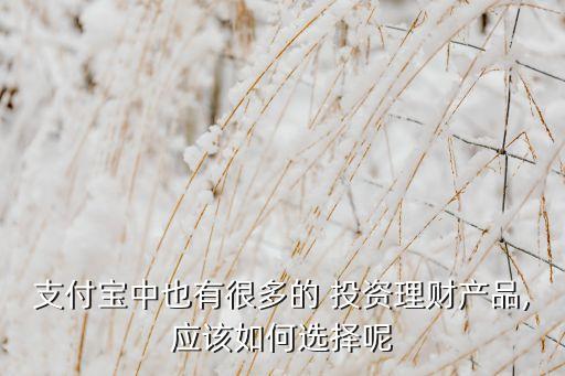 支付寶中也有很多的 投資理財產(chǎn)品,應(yīng)該如何選擇呢