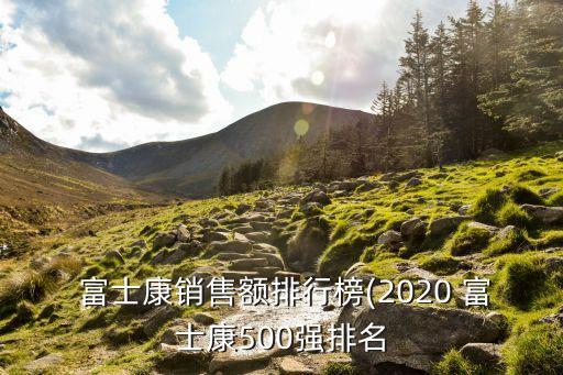  富士康銷售額排行榜(2020 富士康500強(qiáng)排名