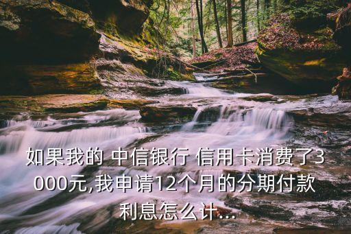 如果我的 中信銀行 信用卡消費了3000元,我申請12個月的分期付款 利息怎么計...