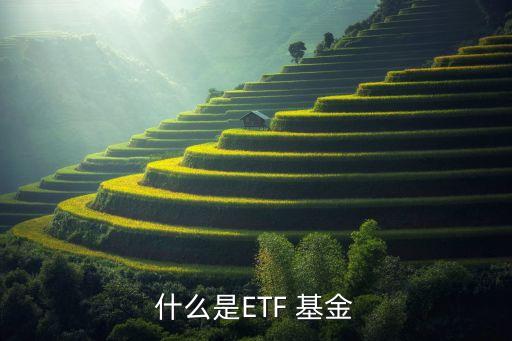 上證指數(shù)etf基金,滬深300指數(shù)基金怎么買