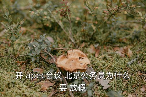 開 apec會議 北京公務(wù)員為什么要 放假