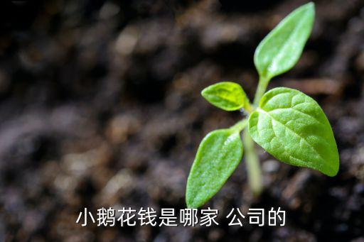 小鵝花錢(qián)是哪家 公司的