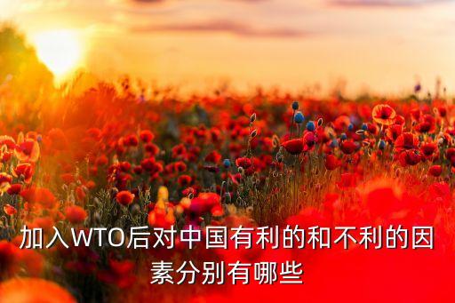 中國(guó)wto好處,加入wto對(duì)老百姓的好處