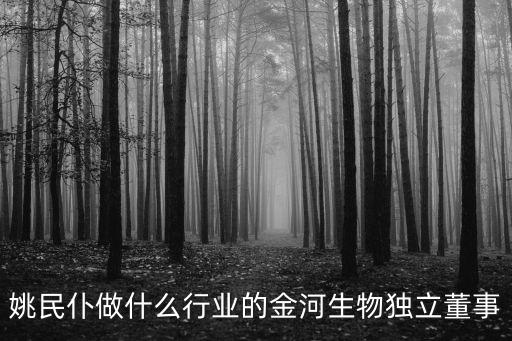 姚民仆做什么行業(yè)的金河生物獨(dú)立董事