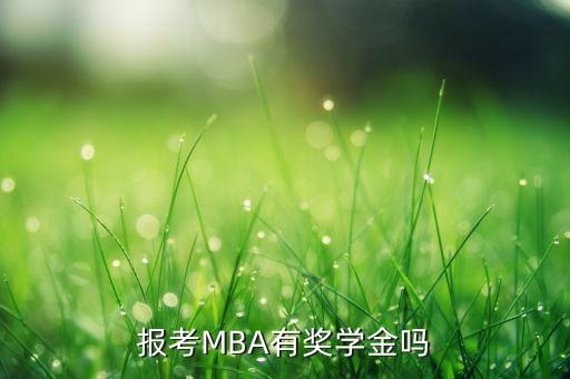 報(bào)考MBA有獎(jiǎng)學(xué)金嗎