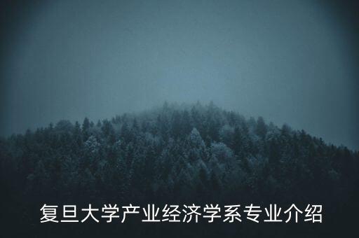  復旦大學產(chǎn)業(yè)經(jīng)濟學系專業(yè)介紹