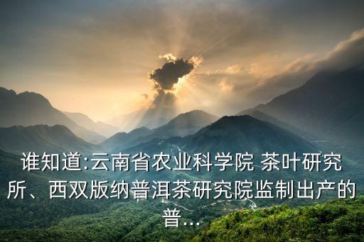 誰知道:云南省農(nóng)業(yè)科學院 茶葉研究所、西雙版納普洱茶研究院監(jiān)制出產(chǎn)的普...