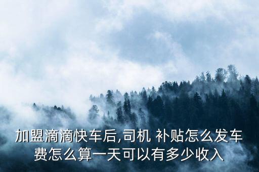 北京滴滴車怎樣補(bǔ)貼的,北京無(wú)車跑滴滴收入怎樣